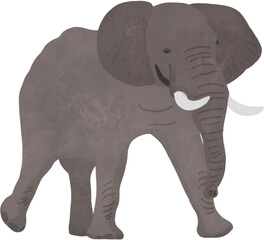 Obraz premium 코끼리