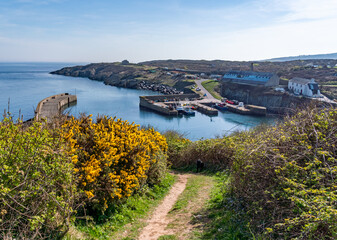 Walking the Anglesey coast path in spring