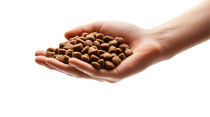 A hand holding a generous handful of pet food, set against a neutral background, ideal for pet care and nutrition themes