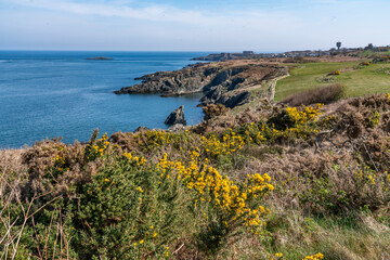 Walking the Anglesey coast path in spring