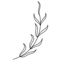 Floral Line Art