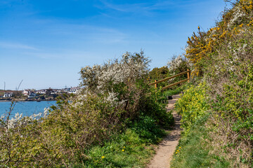 Walking the Anglesey coast path in spring