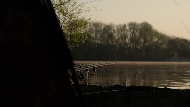 Carp fishing rods and bivvy at sunrise lake scene