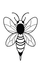 Detailed Black And White Vector Graphic Of A Honey Bee With Intricate Wing Veins And Segmented Abdomen