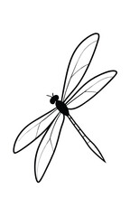 Dragonfly Illustration With Detailed Wings In Black And White For Graphic Design Projects Or Educational Materials