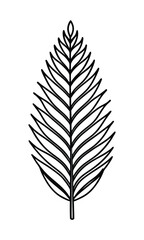 Fototapeta premium Minimalist Line Art Illustration Of Tropical Leaf On White Background Featuring Simple Black Outline For Graphic Design Projects