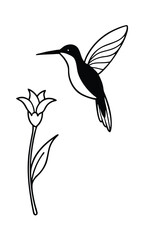 Elegant Hummingbird And Flower Illustration In Black And White Line Art Perfect For Design And Decoration Projects