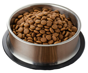 A Large Steel Bowl Filled with Brown Dry Dog Food, Ready for Feeding Pets in a Cozy Home Environment