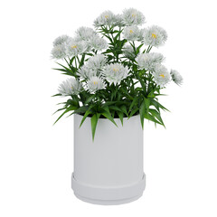 bouquet of white chrysanthemum in a vase