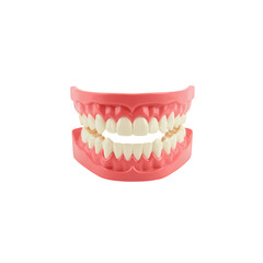 Obraz premium Dentures, Teeth, Dental Image on Transparent background