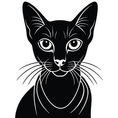 abyssinina cat vector