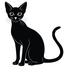 abyssinina cat vector