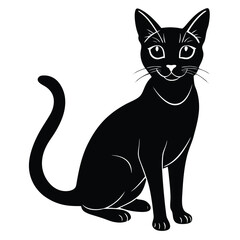abyssinina vector cat