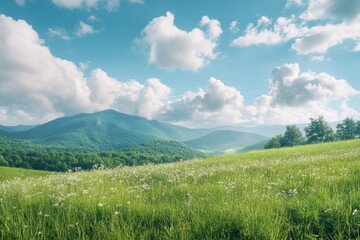 Lush Meadow Meets Mountain Range