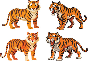 Side view, profile of a tiger standing, isolated on white