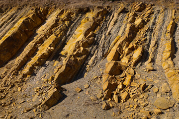 A cross-section of yellow clay soil with clearly defined layers and cracks. Vertical fractures form...