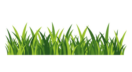 Isolated Patch of Grass