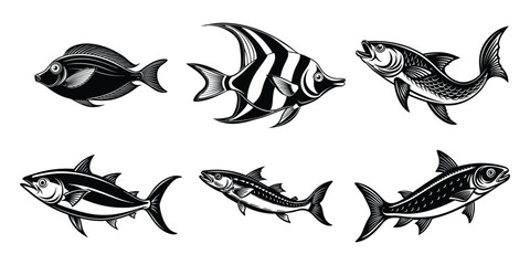 Fototapeta premium Collection of Various Fish Illustrations