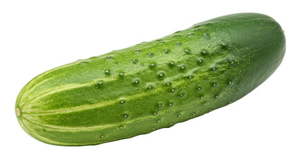 Isolated Fresh Cucumber
