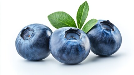 Obraz premium blueberry isolated on white background 