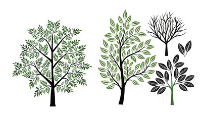 Tree and forest silhouette