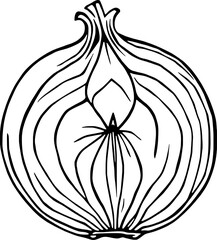 Halved Onion A Detailed Line Drawing Of A Fresh Onion