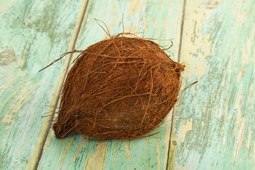 Tropical exotic brown haired coconut