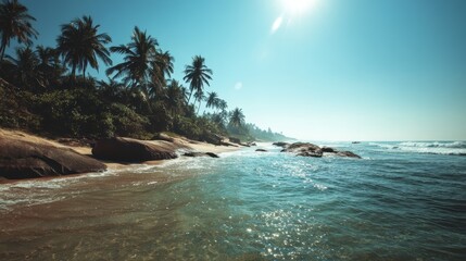 Fototapeta premium A picturesque view of a tropical beach with palm trees and the ocean on a sunny day. The gentle waves are washing the golden sands