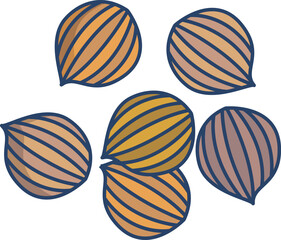 coriander Illustration on a white background   