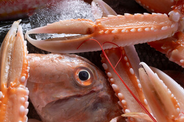 Fish and claws detail closeup