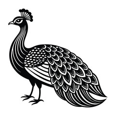 Fototapeta premium Elegant Peacock Illustration: A regal peacock, rendered in monochrome, stands in a graceful pose, showcasing its intricate feathered tail and poised demeanor.