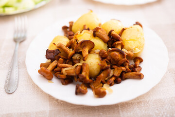 Delicious fried chanterelles with new potatoes on a white plate