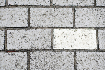 Close-up of a section of gray brick pavement with one distinctly clean, white brick standing out....