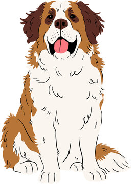 Cute Sitting Saint Bernard Dog Illustration
