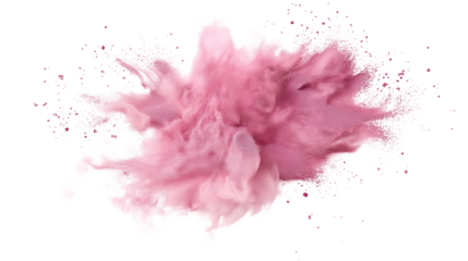 Top view of soft pink blush powder explosion, scattered texture, realistic cosmetic particles, isolated on white background, PNG, high-resolution, hyper-detailed, professional lighting