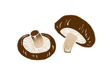 レトロな手描きの野菜のイラスト。椎茸