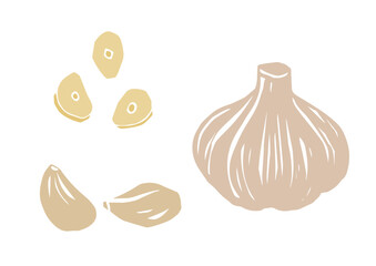 レトロな手描きの野菜のイラスト。にんにく