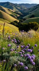Fototapeta premium Vibrant wildflowers blooming in rolling green hills
