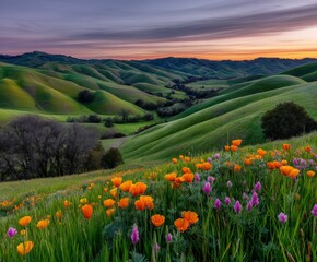 Fototapeta premium Rolling hills covered in vibrant wildflowers at dusk