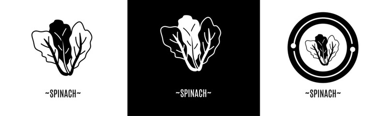 Spinach icon set. Collection of icon. Stock vector.