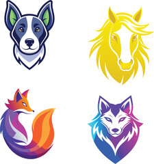 happy yorkshire terrier dog full body photography isolated on white