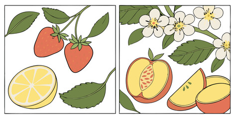 fruits and vegetables