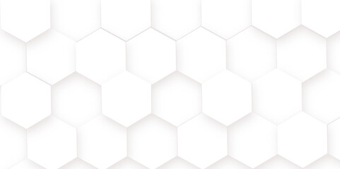 Fototapeta premium Abstract Hexagon white background and shadow. Abstract background design with white hexagon and Abstract. Hexagon. Vector.