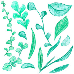 set of green leaves and twigs, raster hand drawing with colored pencils, decorative element, white background