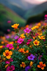 Obraz premium Vibrant wildflowers bloom in the hillside meadow