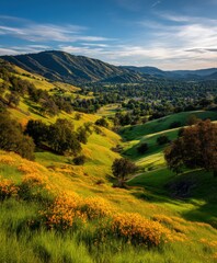 Vibrant wildflowers bloom across rolling green hills