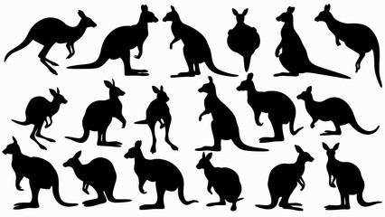 set of kangaroo silhouette vector on white background