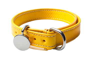  Elegant Yellow Dog Collar   isolated on white background.  Durable Design with Metal Buckle and Round Tag
