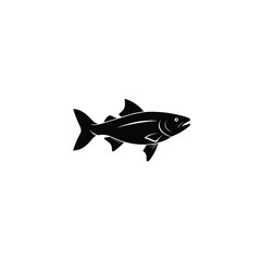 trout fish silhouette on white background