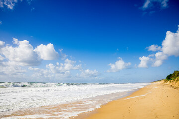 Obraz premium Wellen am Buddina Beach an der sunshine Coast in Australien